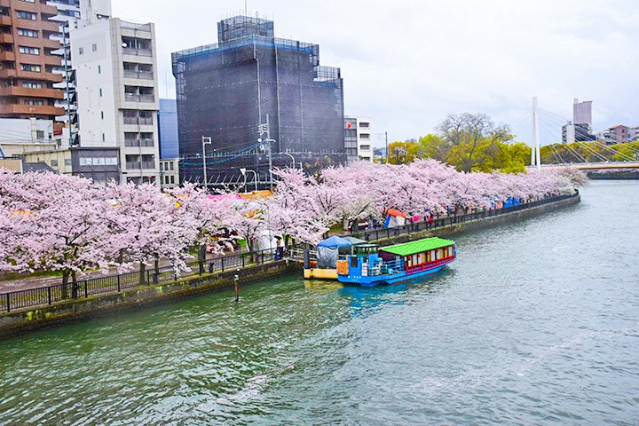 🌉 텐마바시 이미지 4