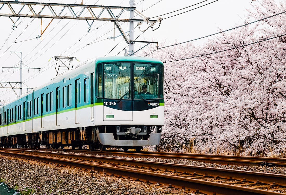 🌉 텐마바시 이미지 7
