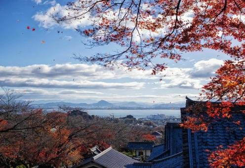 🏯 사이쿄지 이미지 5