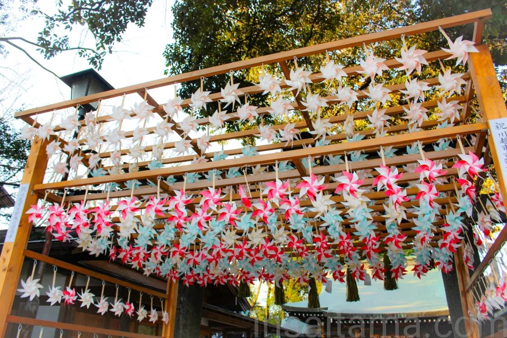 🏯 사이쿄지 이미지 9