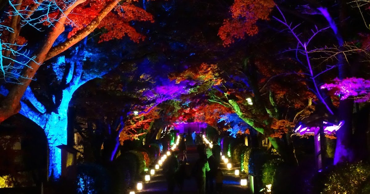 🏯 사이쿄지 이미지 10