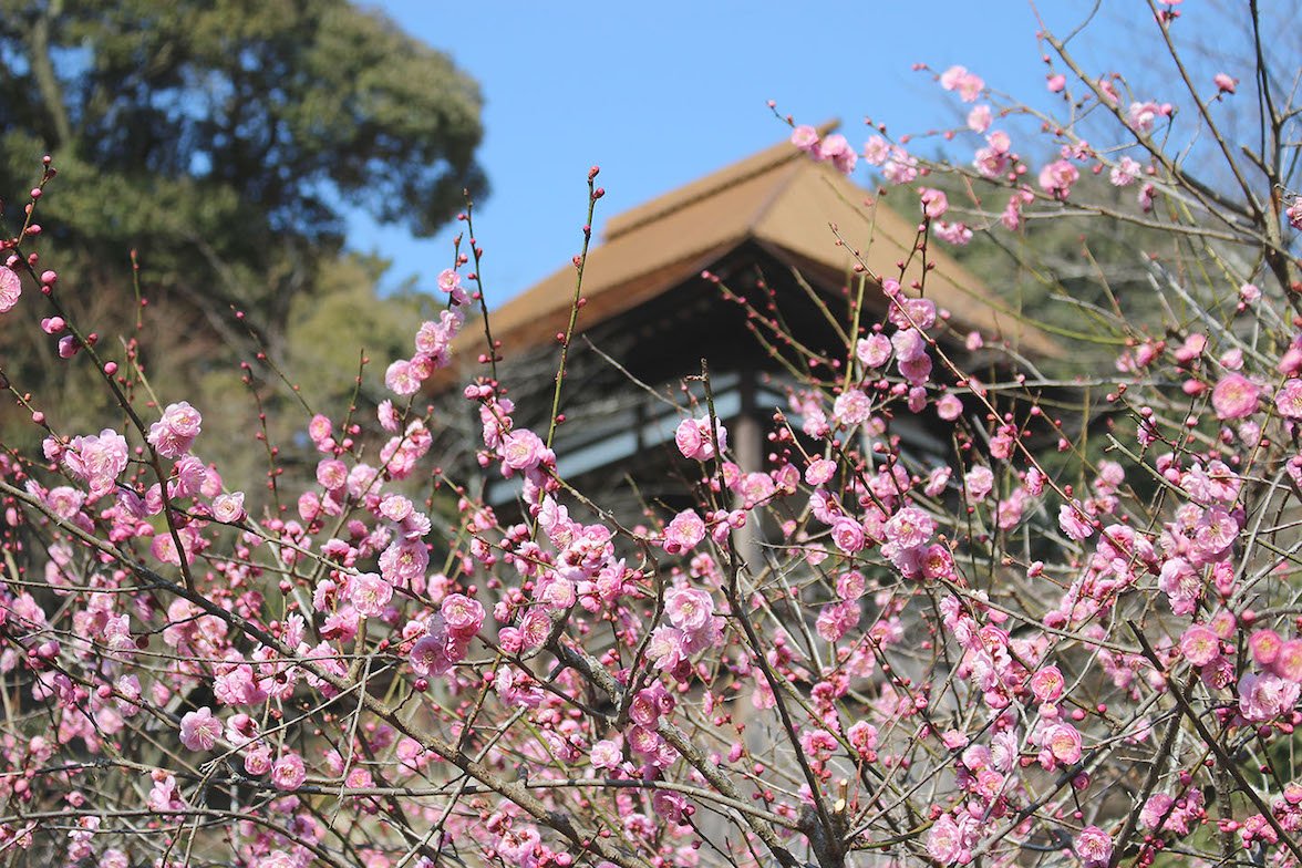 🏯 석산사(이시야마데라) 이미지 8