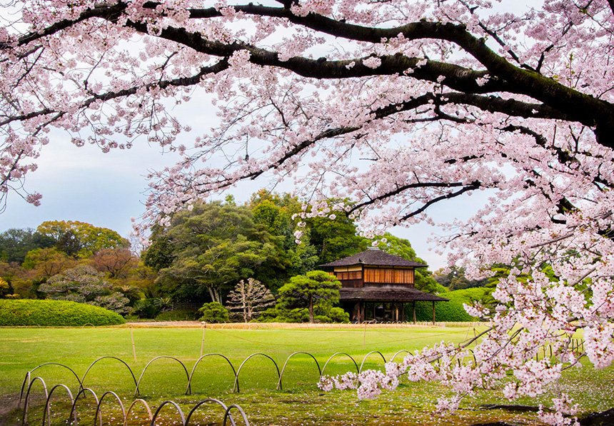 🌸 고라쿠엔 이미지 5