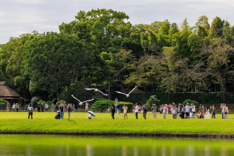 🌸 고라쿠엔 이미지 11