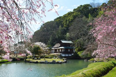 🌳 근수원(오미즈엔)