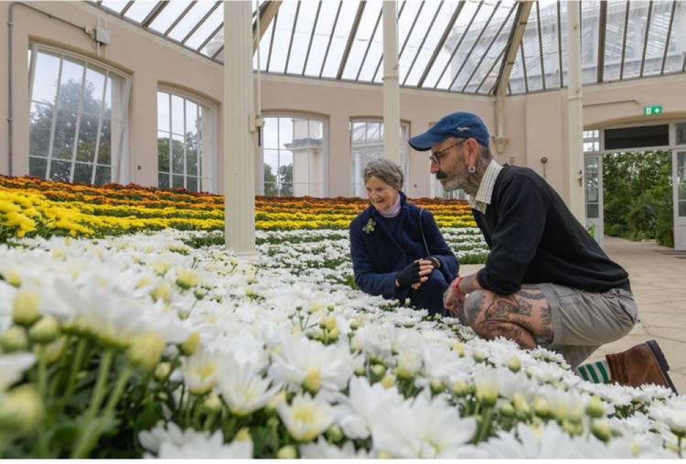 ⛩️ 대광원(다이코인) 이미지 9