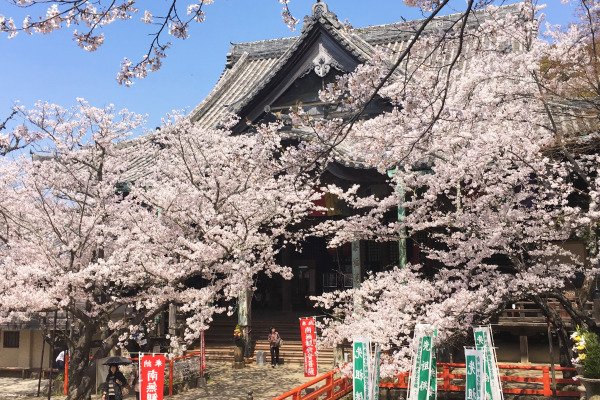 🏯 기미이데라 이미지 9