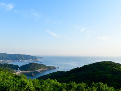 🏝️ 도모가섬