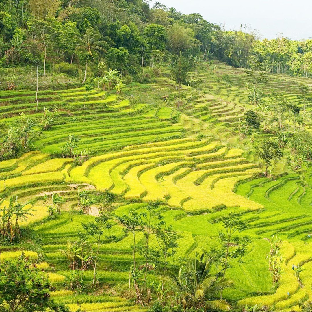 🏯 상재사(조자이지) 이미지 4