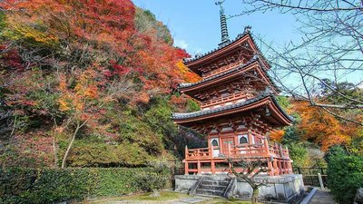 🌸 미무로토지