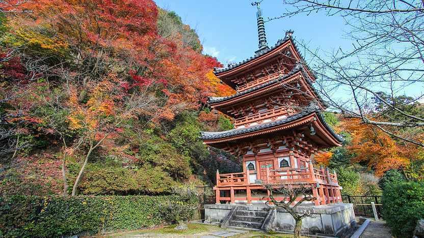 🌸 미무로토지 이미지 1