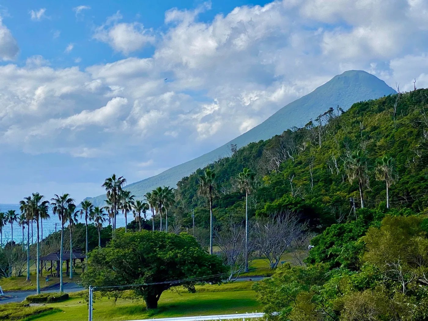 🏞️ 나가사키바나