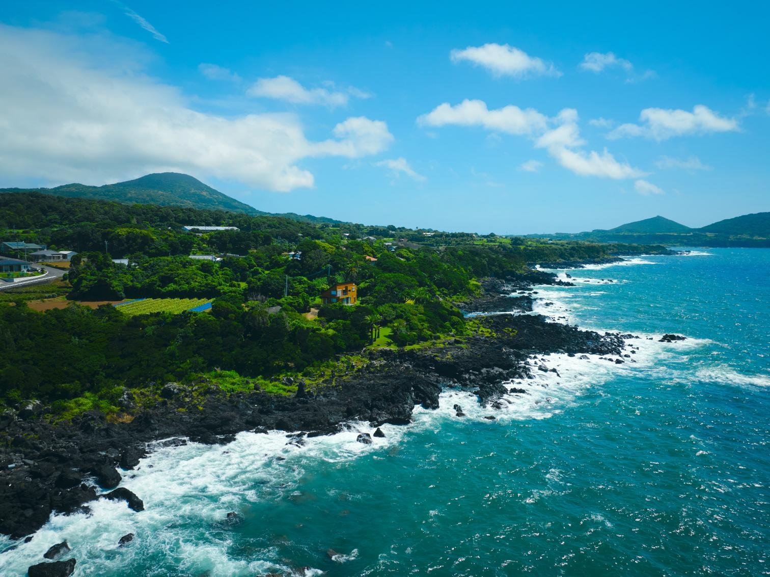 🏞️ 나가사키바나 이미지 7
