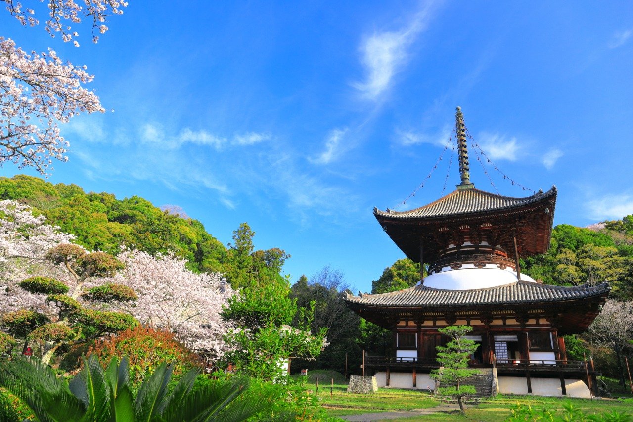 🏯 네고로지(네고로데라) 이미지 4