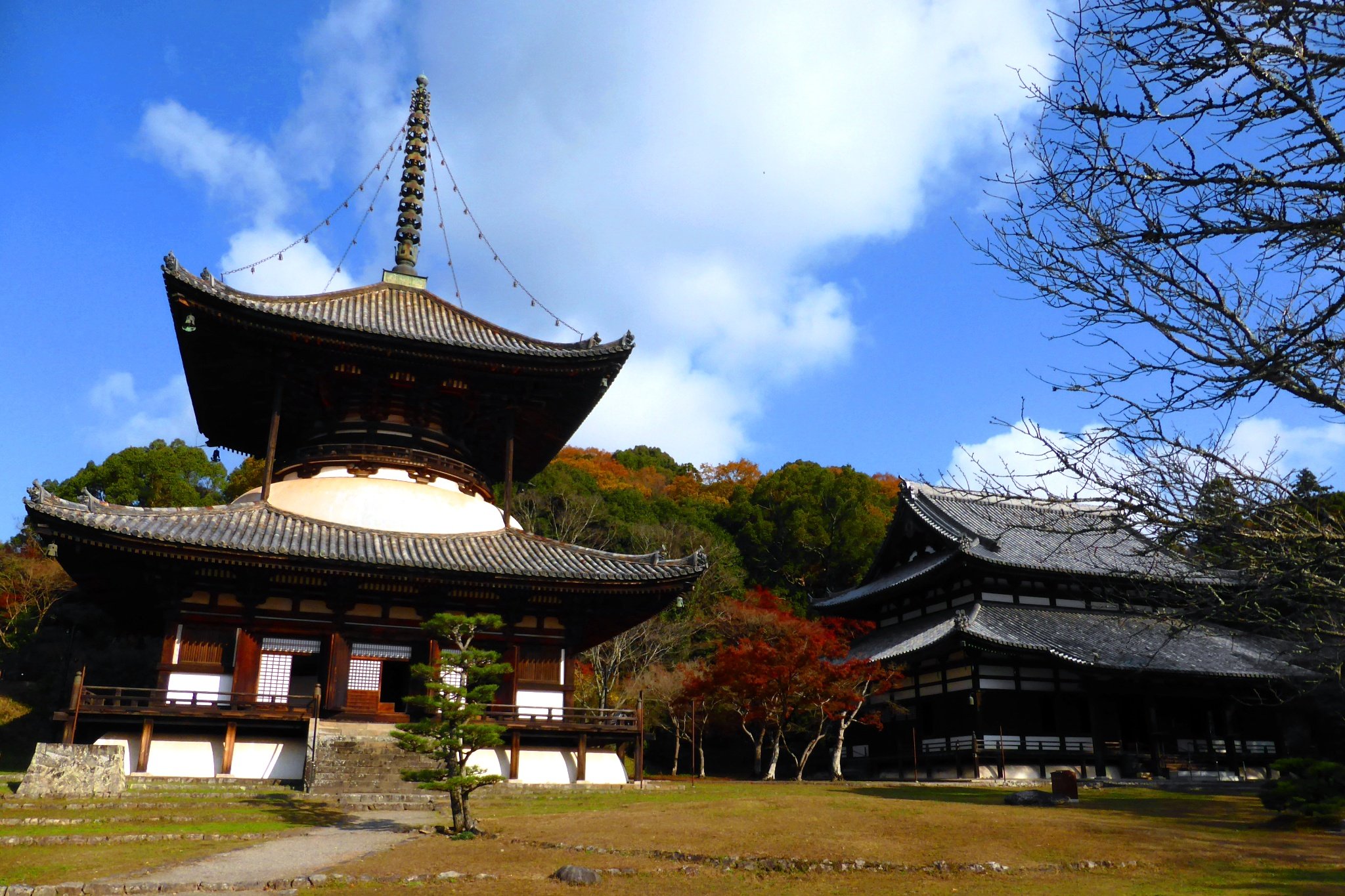 🏯 네고로지(네고로데라) 이미지 6