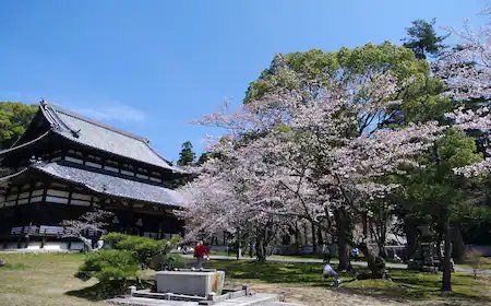 🏯 네고로지(네고로데라) 이미지 8