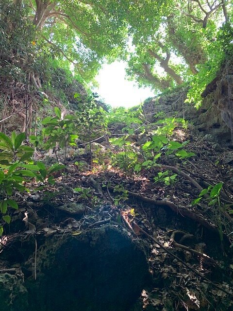 🕊️ 히메유리탑 이미지 5