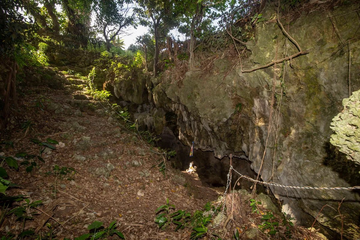 🕊️ 히메유리탑 이미지 8