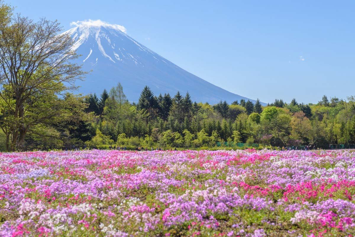 💮 묘복사(妙福寺) 이미지 9
