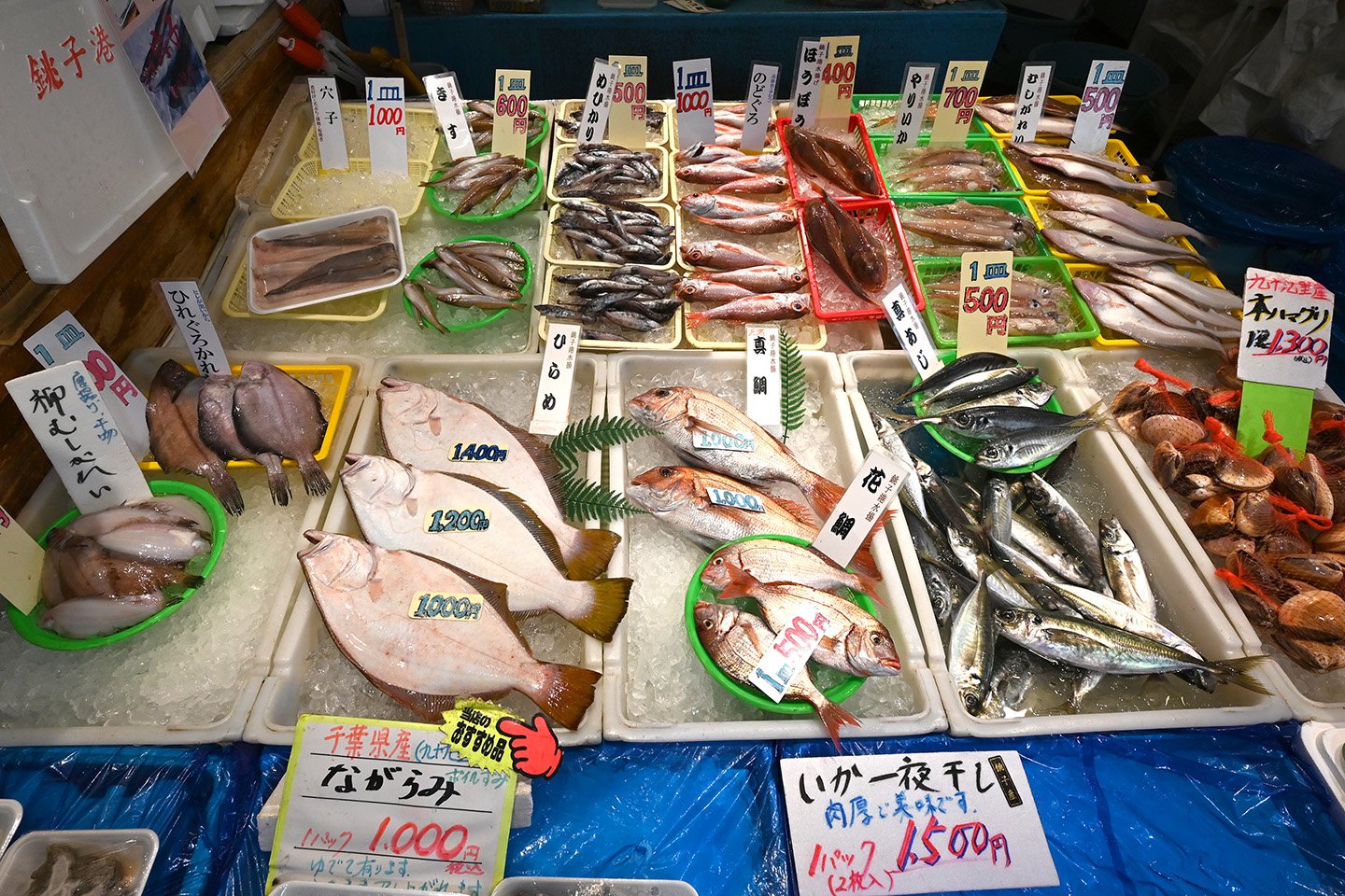 🐟 우오세21 이미지 7