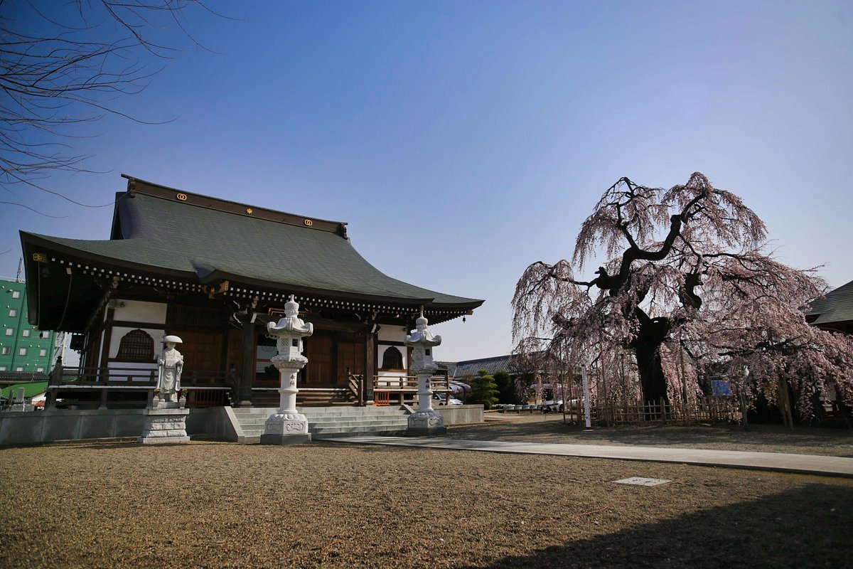 🌸 연명사(엔메이지) 이미지 1