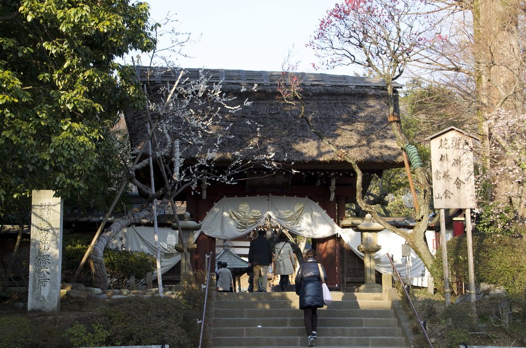 🏯 진다이지 이미지 4