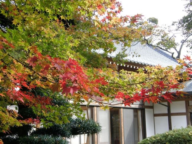 🍁 법천사(호센지) 이미지 1