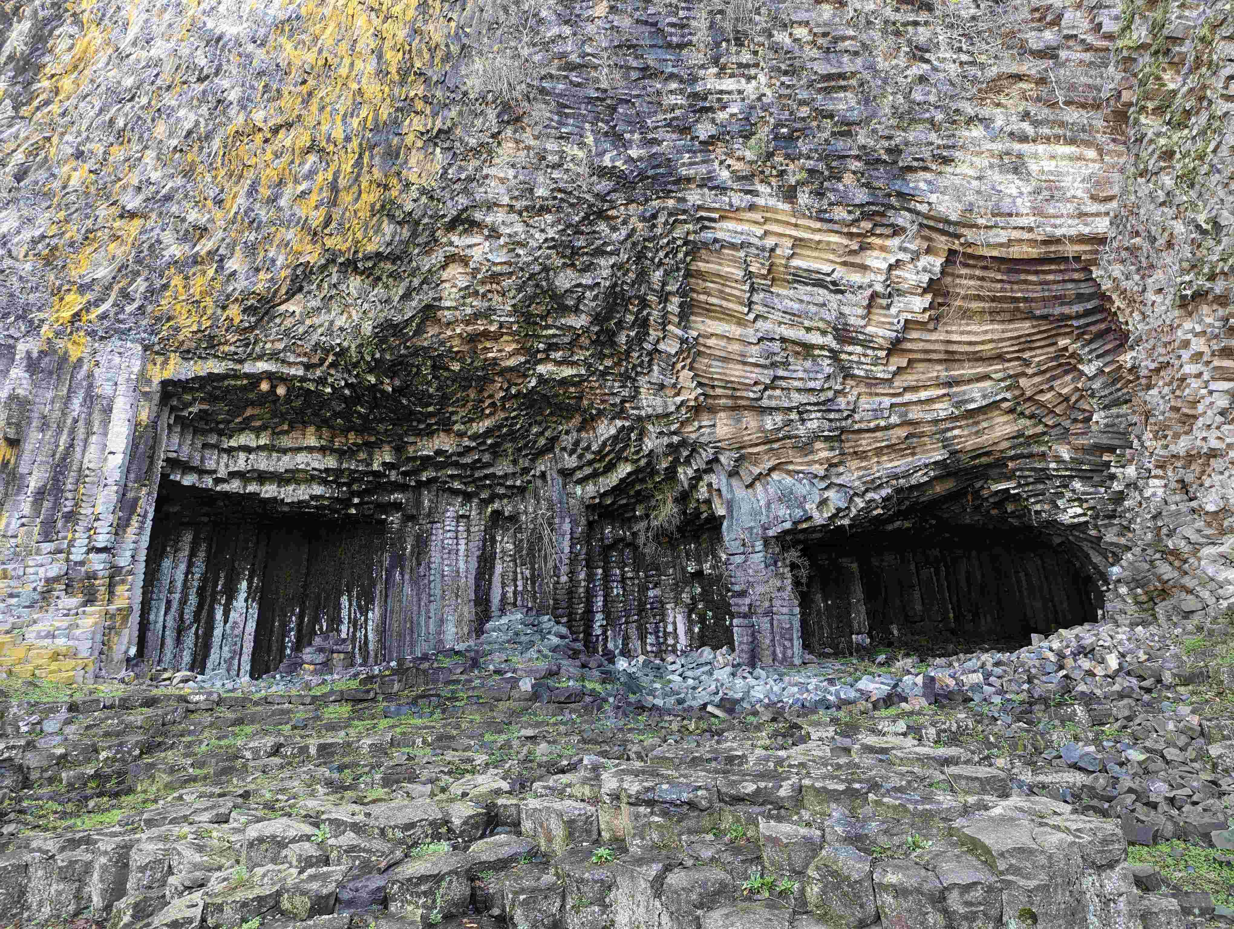 🏞️ 다타미가후치