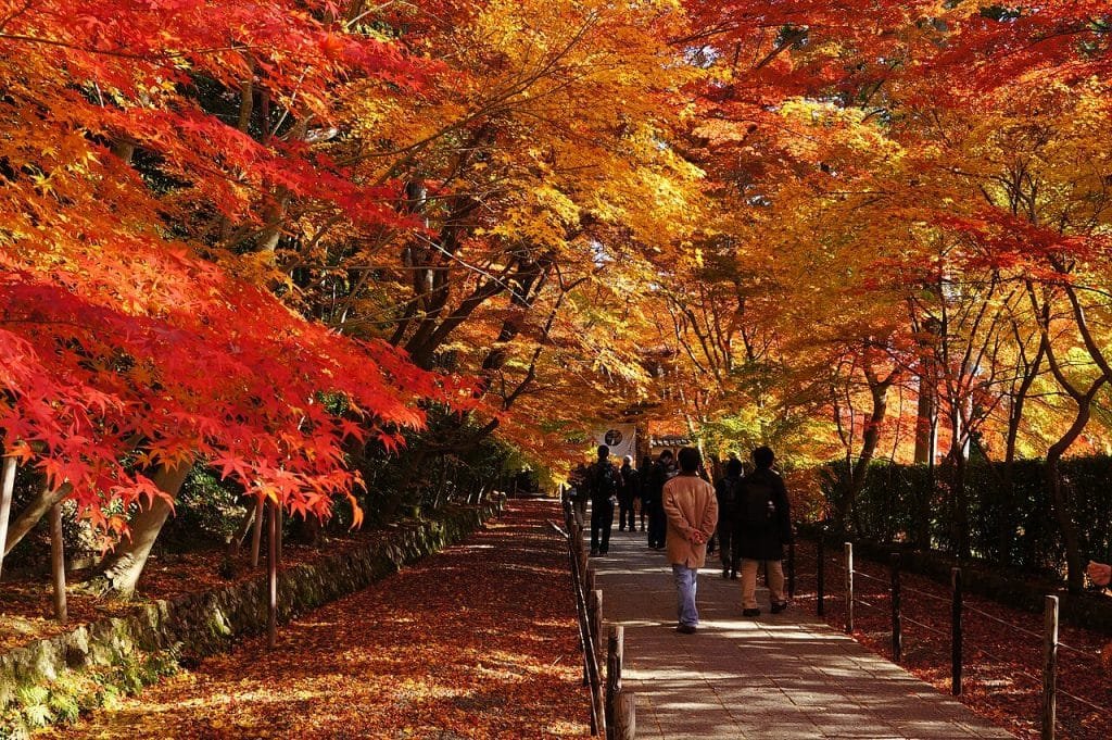 🏯 암수사(간스이지) 이미지 7