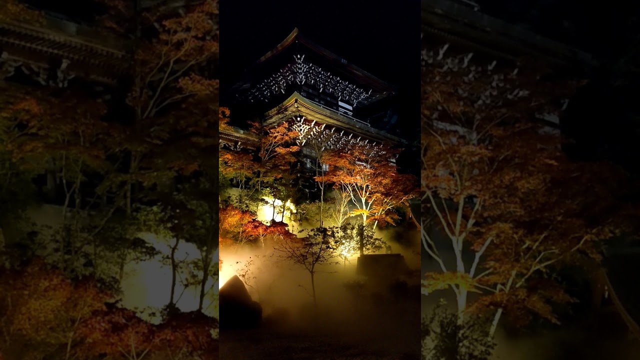 🏯 대성원(다이쇼인) 이미지 8