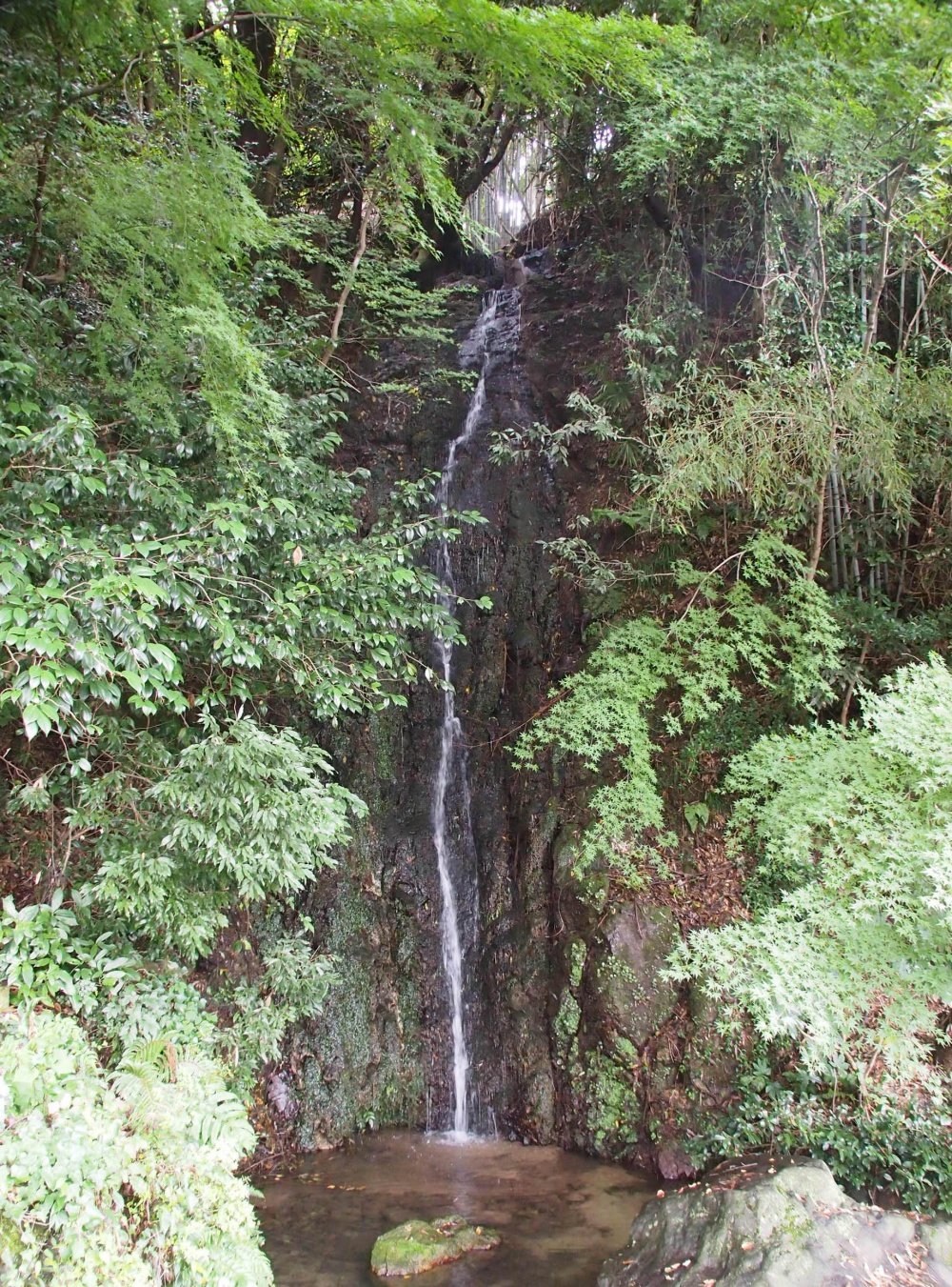 ⛩️ 금검궁(킨켄구) 이미지 4