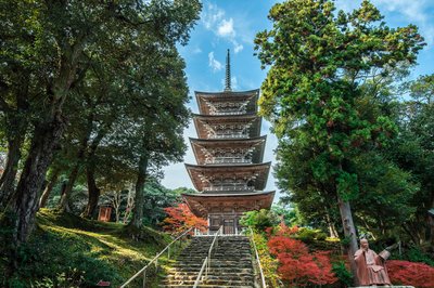 🏯 묘조지 이미지 4