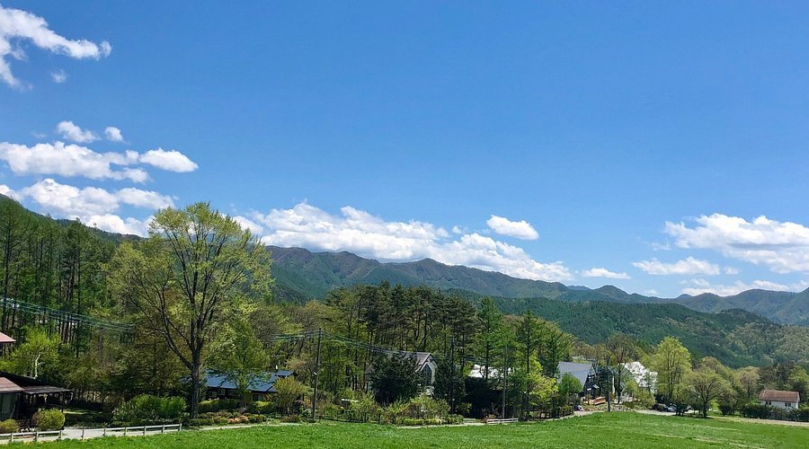 🌳 모에기노무라 이미지 7