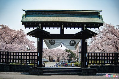 🏯 다이세키지