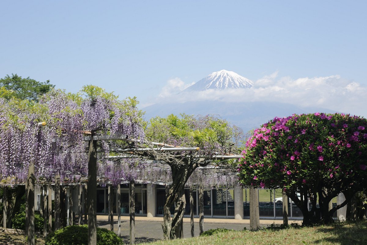 🌸 시모노보 이미지 1