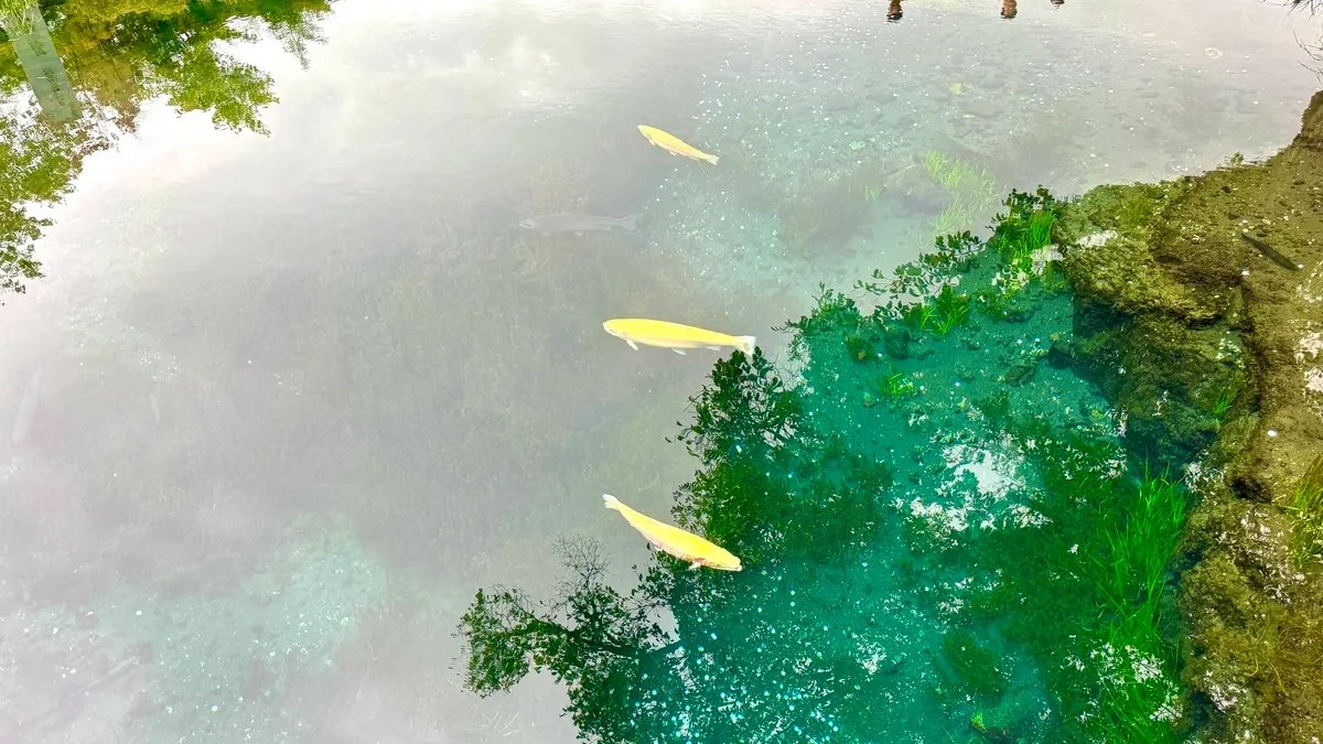 🏞️ 용옥지(와쿠타마이케) 이미지 3