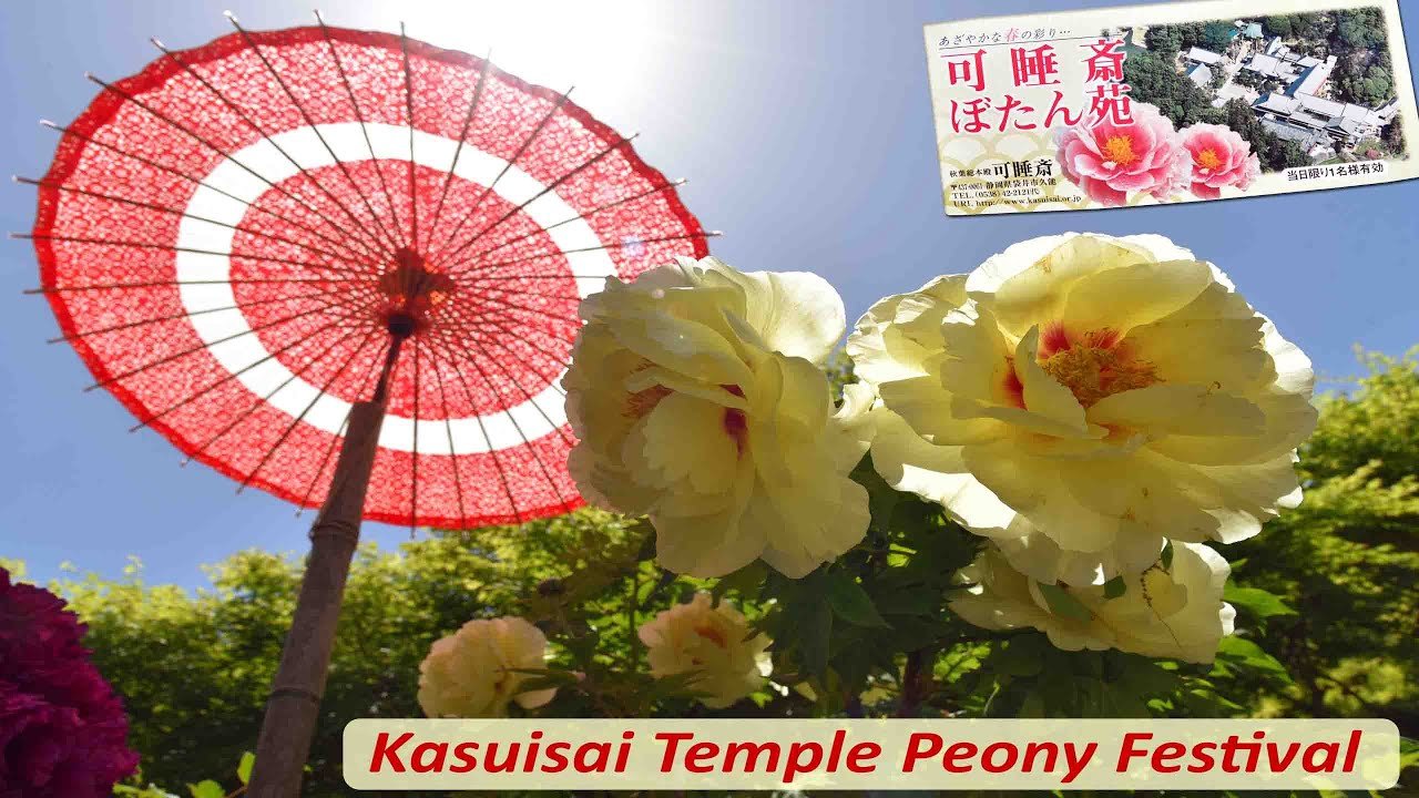 🏯 가스이사이 이미지 16