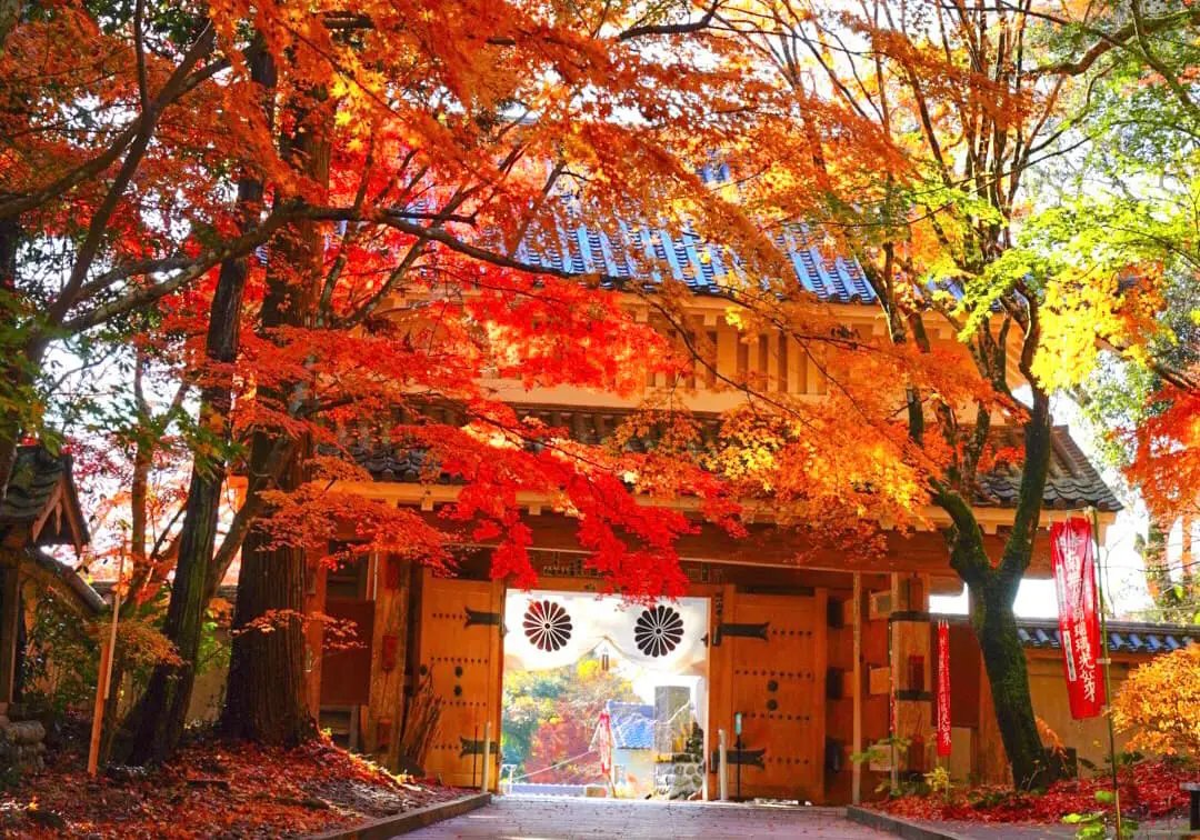 ⛩️ 유산사(유산지) 이미지 2