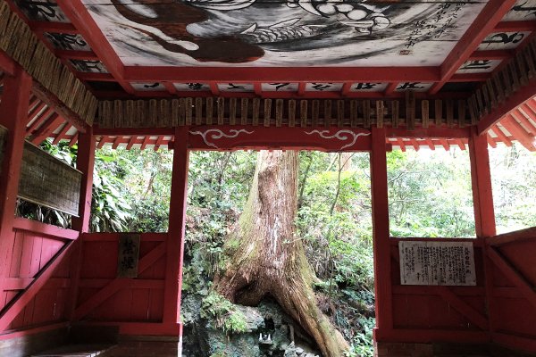 ⛩️ 유산사(유산지) 이미지 7