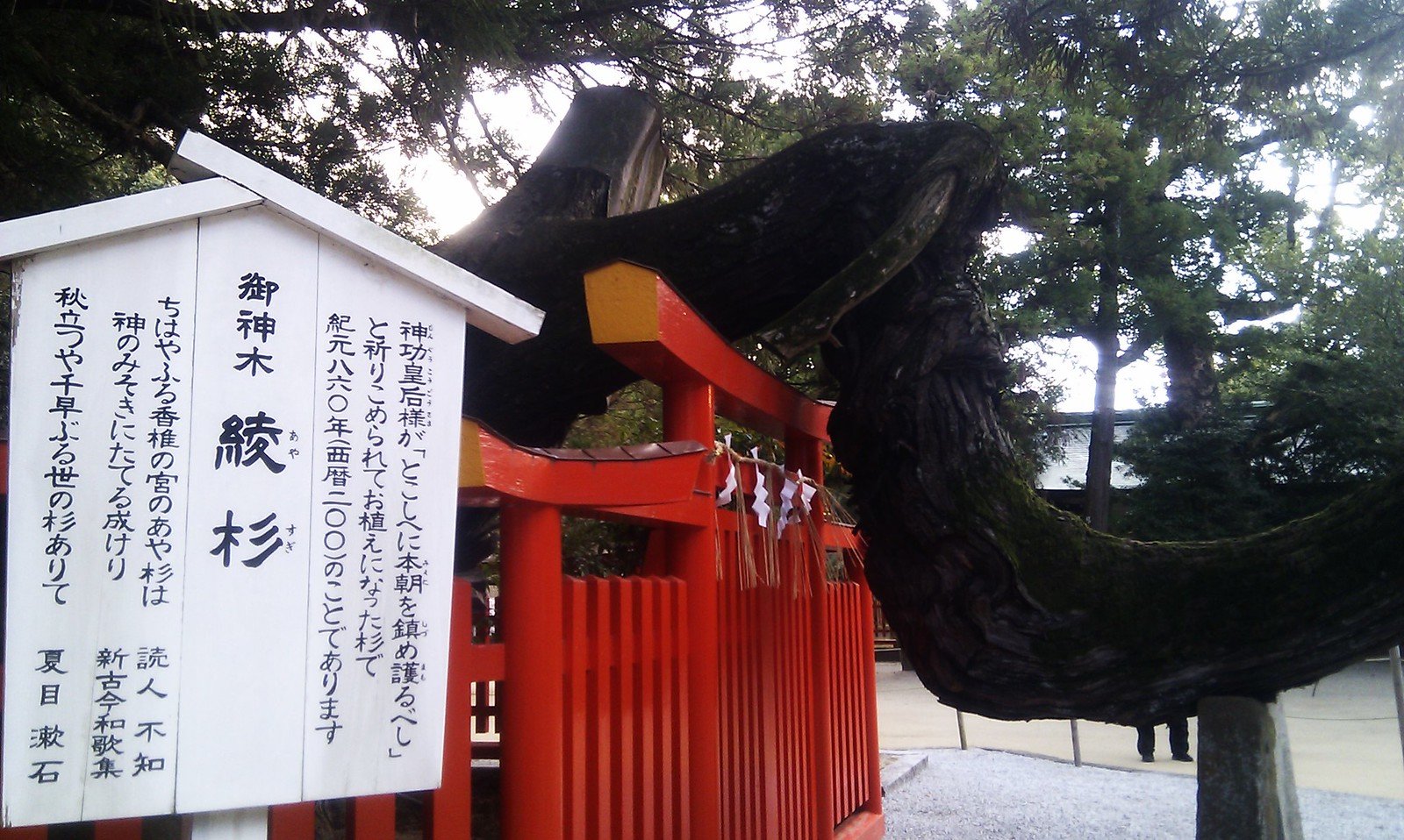 ⛩️ 카시이구(향추궁) 이미지 3