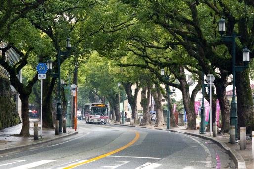 ⛩️ 카시이구(향추궁) 이미지 8