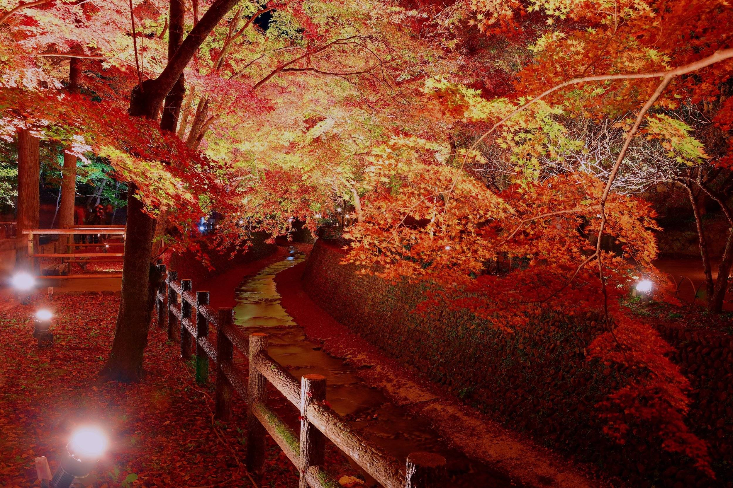 🏯 백제사(햐쿠사이-지) 이미지 15