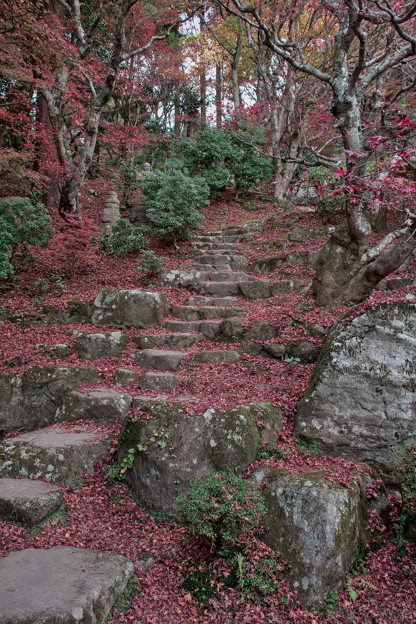 🏯 백제사(햐쿠사이-지) 이미지 7