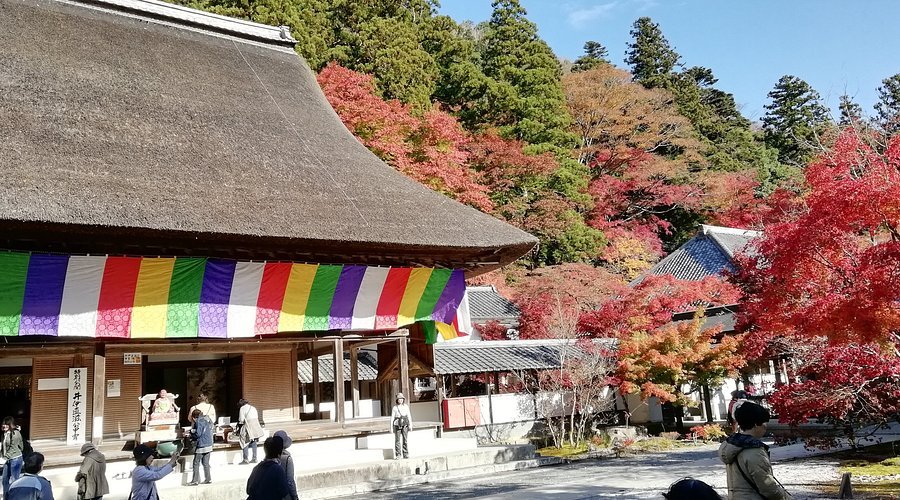 🍁 영원사(에이겐지) 이미지 5