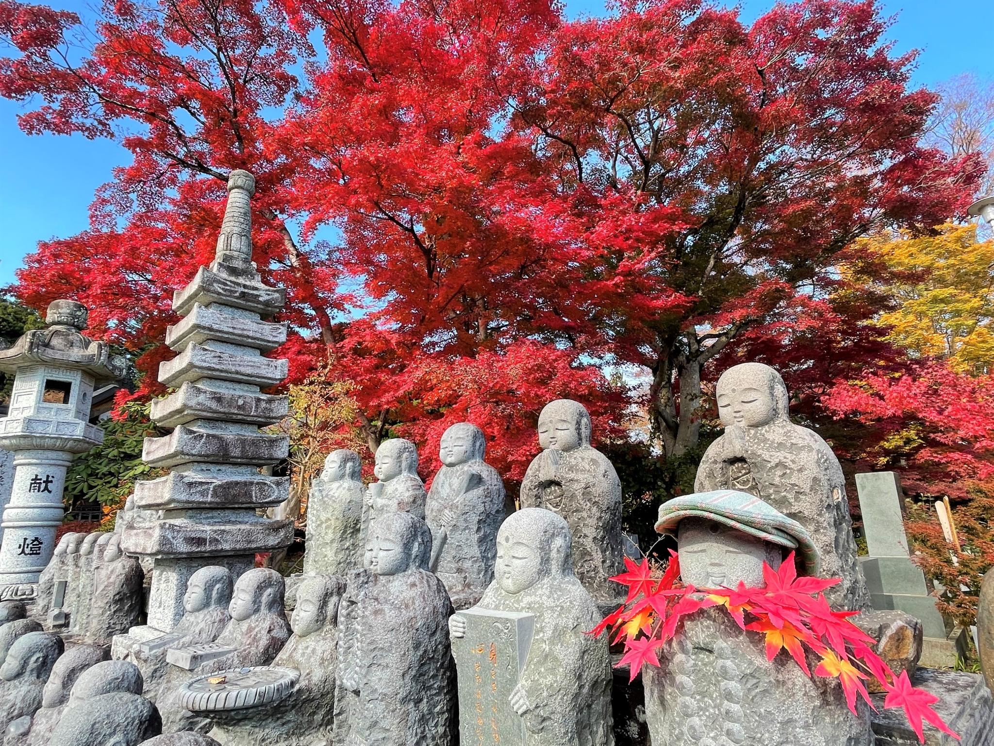 🍁 영원사(에이겐지) 이미지 13