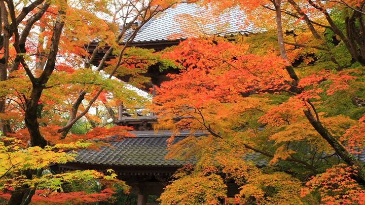 🍁 영원사(에이겐지) 이미지 7