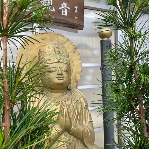 🏯 구수원원(久修園院)