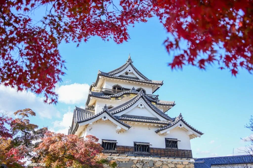 🏯 히코네성 이미지 6