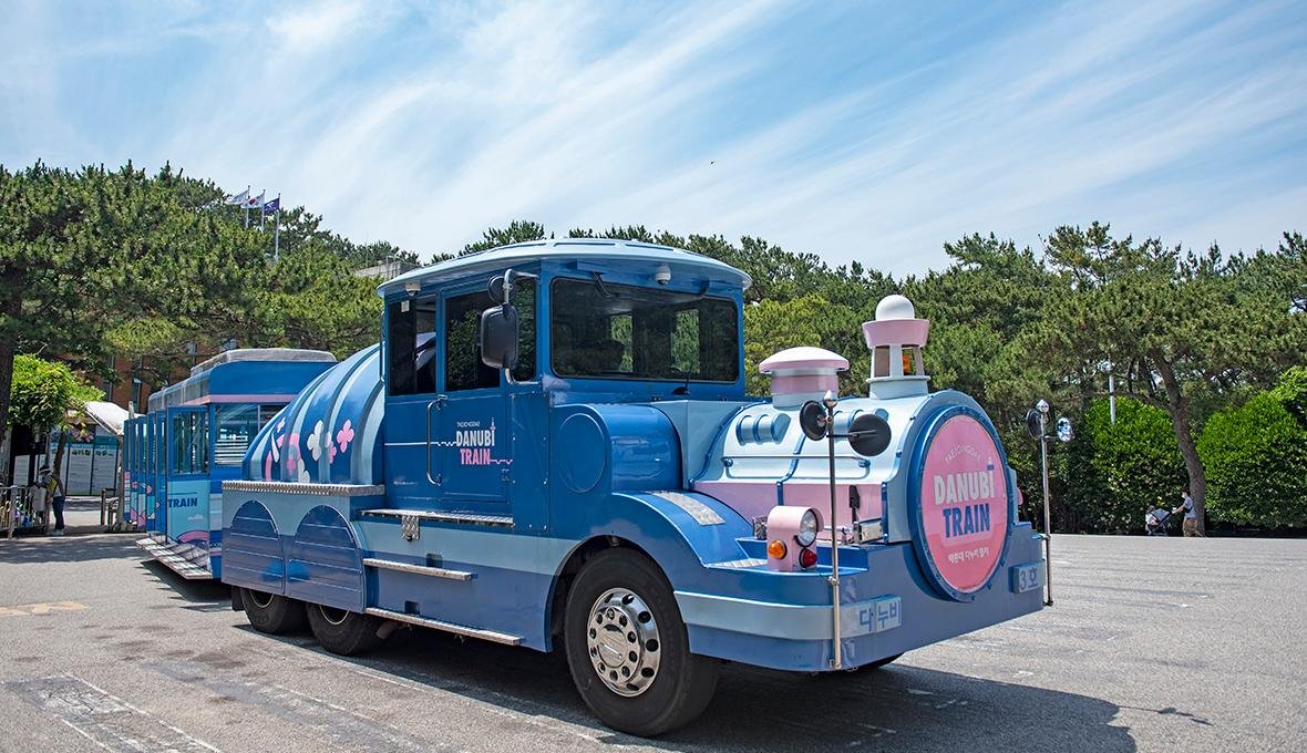 다누비 열차 순환 관람