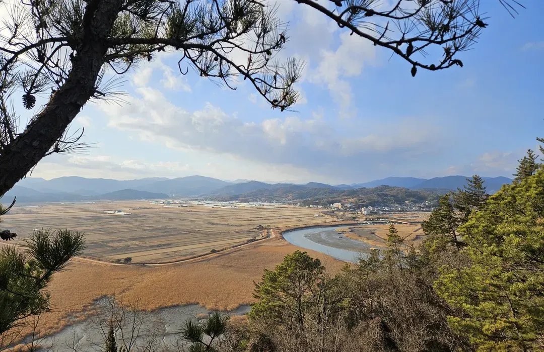 갈대밭 사이 데크길